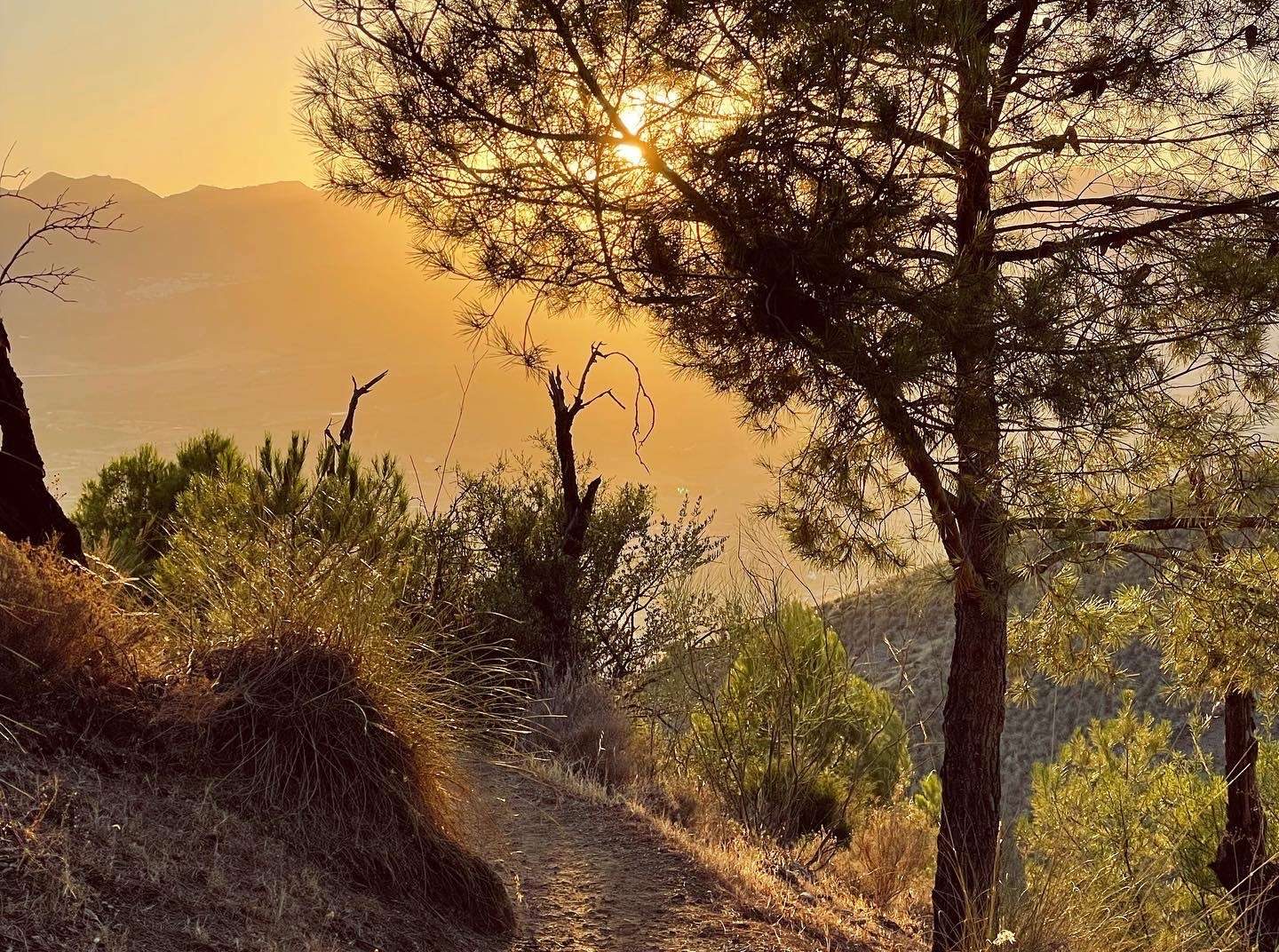Hike at Pizarra - from Costa del Soul