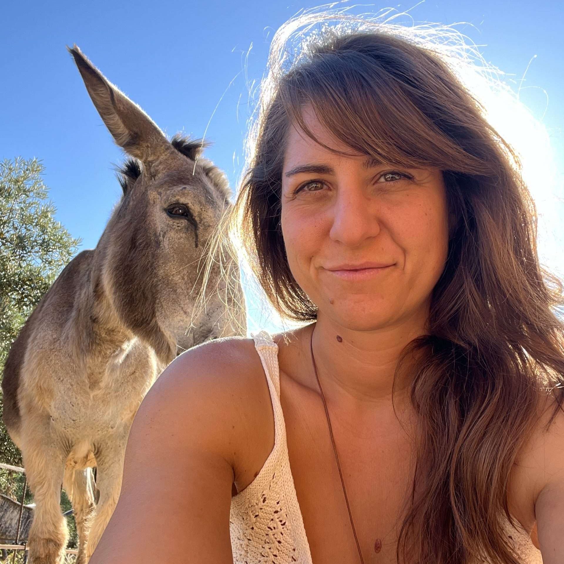 DONKEY WHISPERER SESSIONS