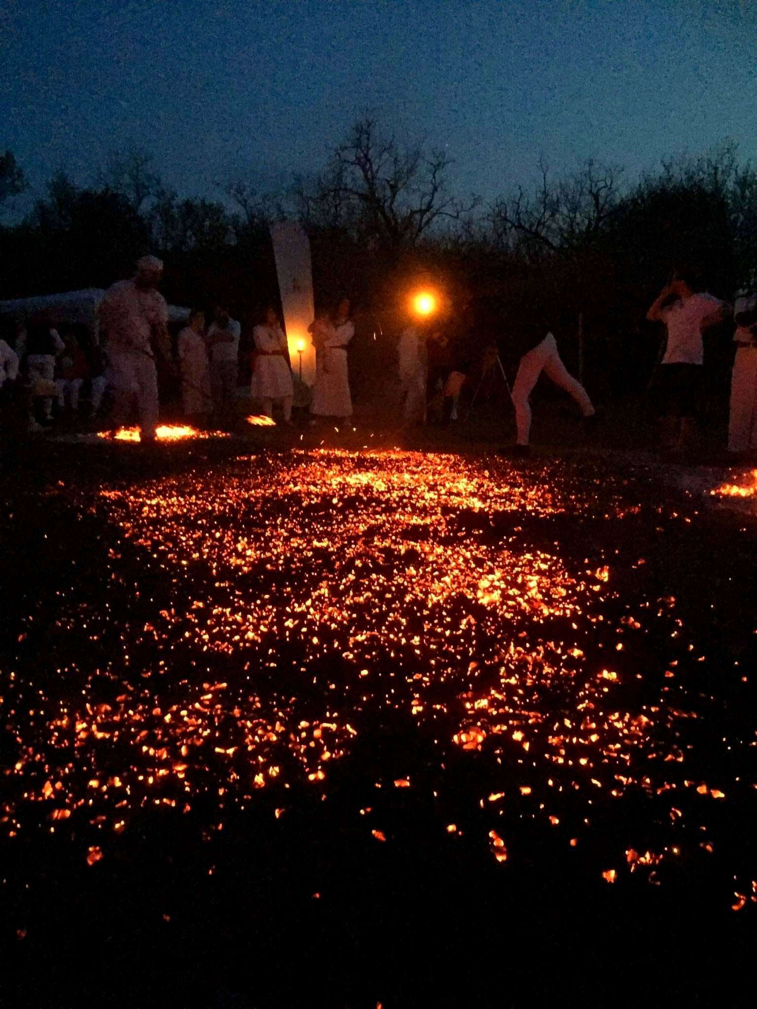 The Fire Within - A Day of Courage, Clarity & Awakening with Bence L. Tarr